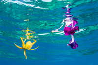 IMG.3744 Floating Orchids